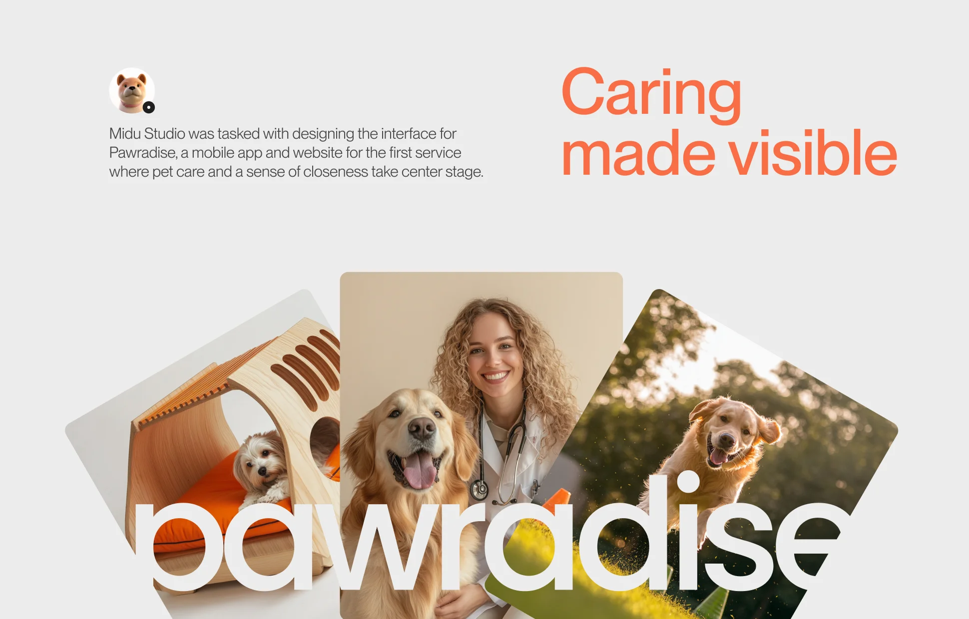 Pawradise overview composition and brand system
