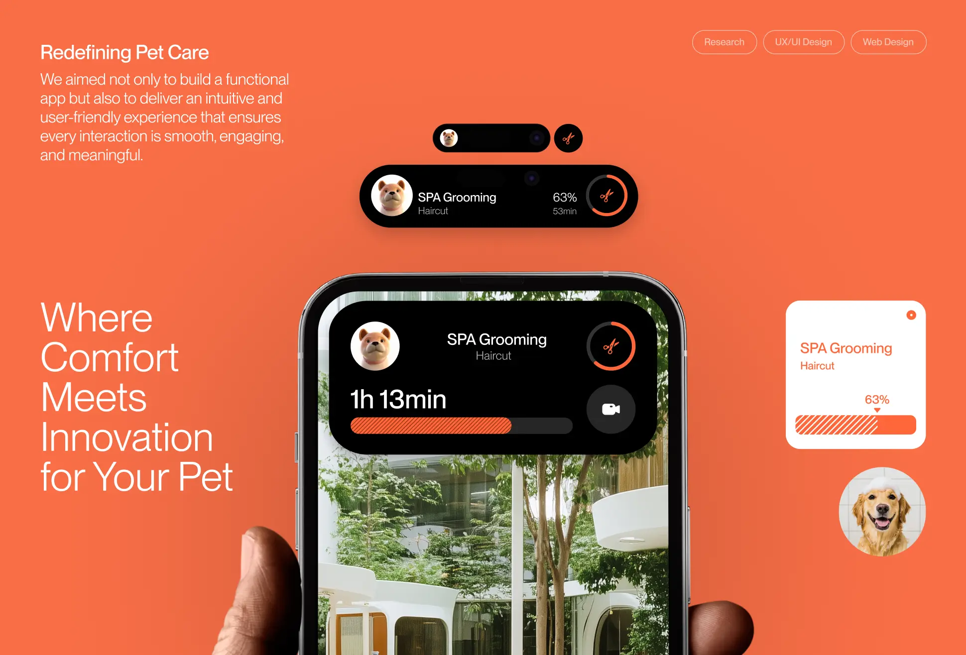 Pawradise final app presentation